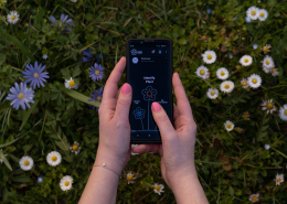 Two hands hold a smartphone over a flower-rich meadow. The smartphone display shows the Flora Incognita App.
