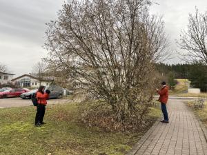 Systematische-Aufnahme-1030x773