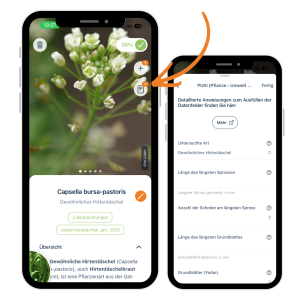 Webseite-Screenshot-Fragebogen-1