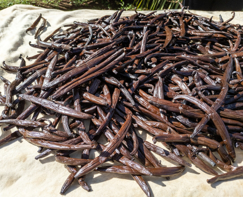 Vanilla pods. Matthew Dillon, CC BY 2.0 via Wikimedia Commons
