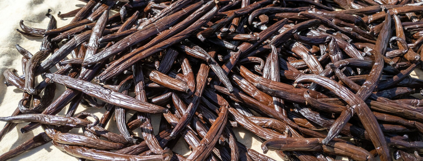 Vanilla pods. Matthew Dillon, CC BY 2.0 via Wikimedia Commons